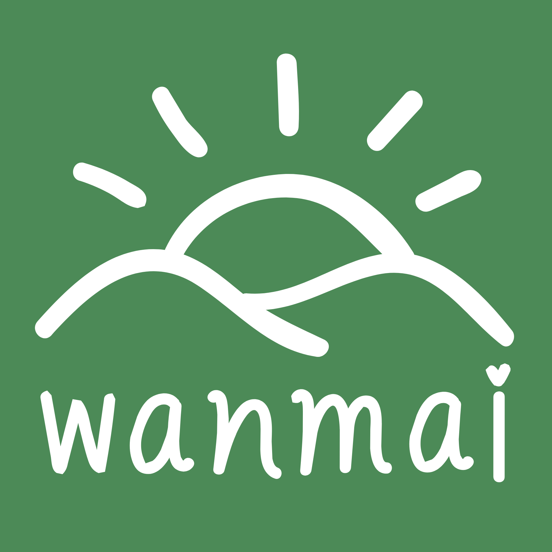 Wanmai29