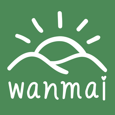Wanmai29